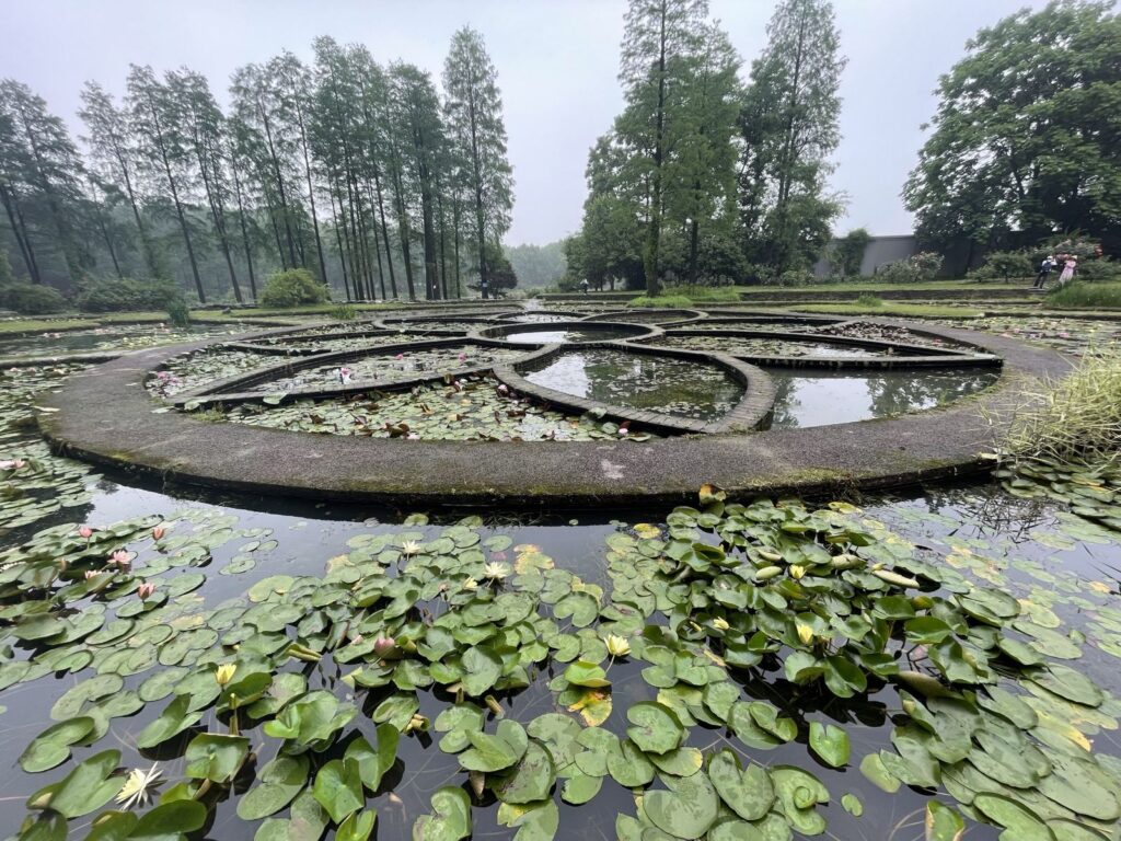 Aquatic Plant Zone: A Fusion of Global Water Plants and Art
